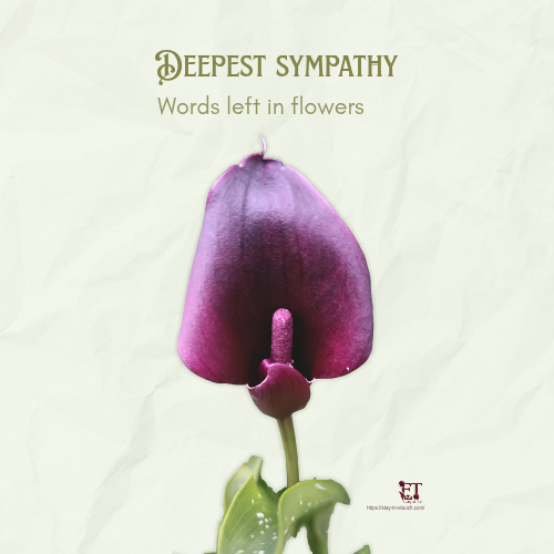 Words Left In Flower - Digital Sympathy Card - MP4